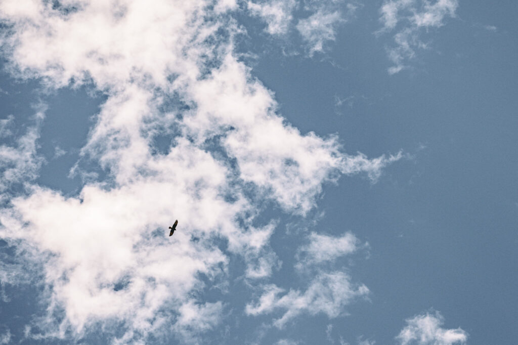 画像に alt 属性が指定されていません。ファイル名: DSC_7589-1024x682.jpg